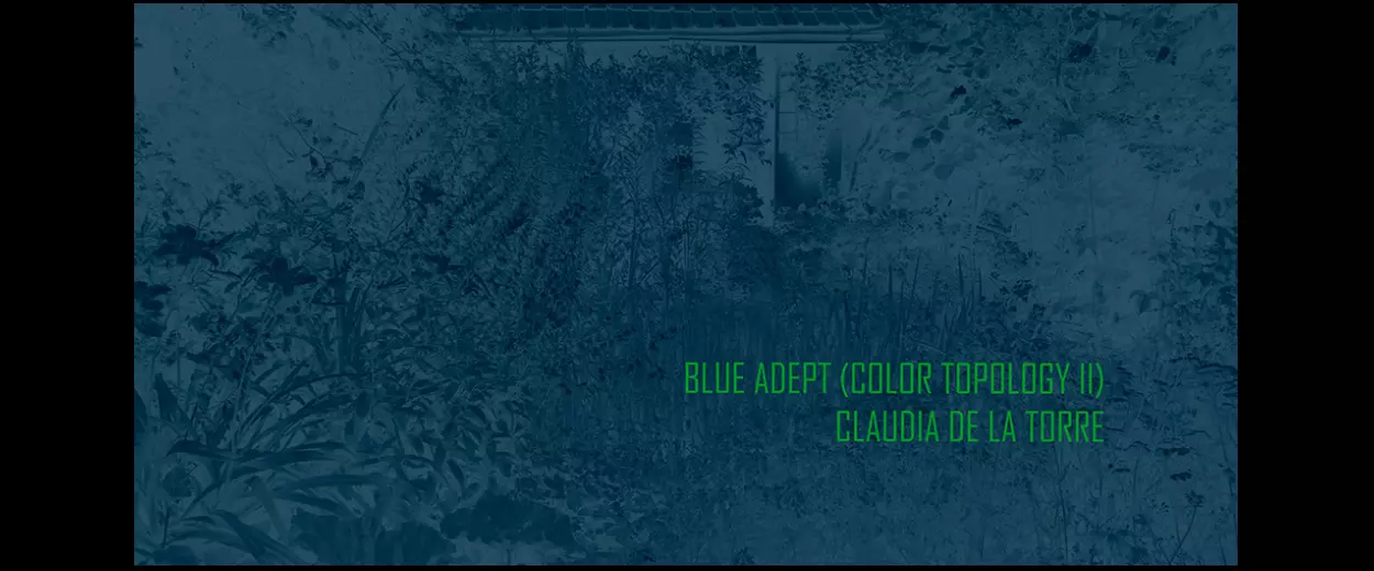 Claudia de la Torre / Blue Adept (Color Topology II)