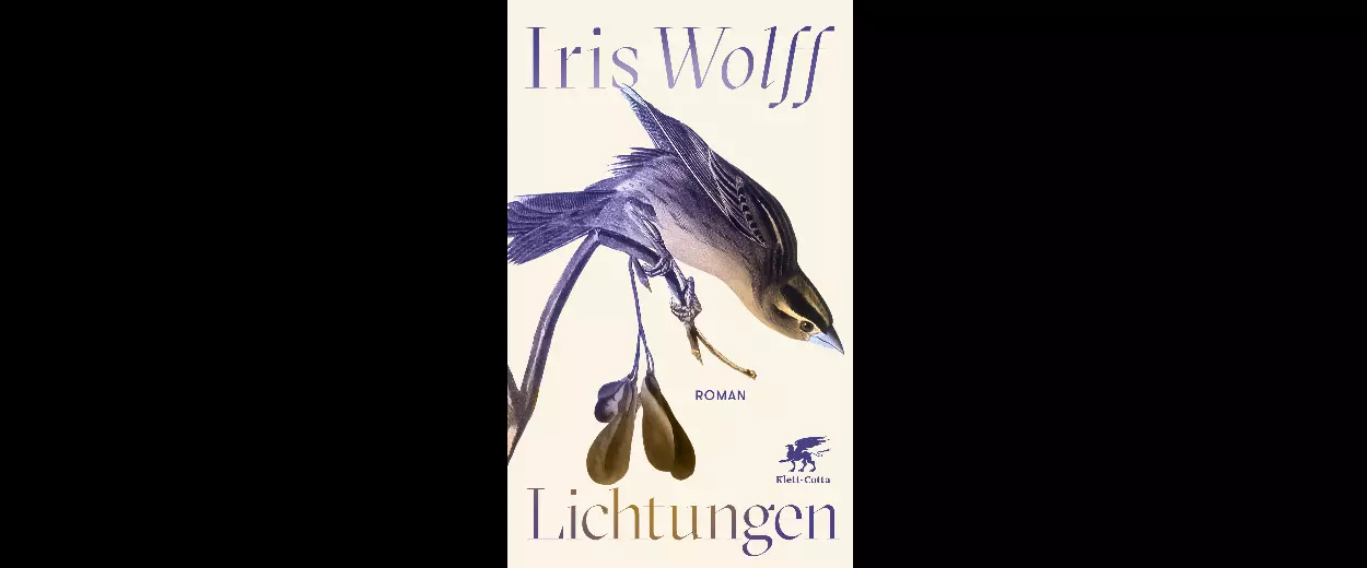 Qultor Iris Wolff Lichtungen