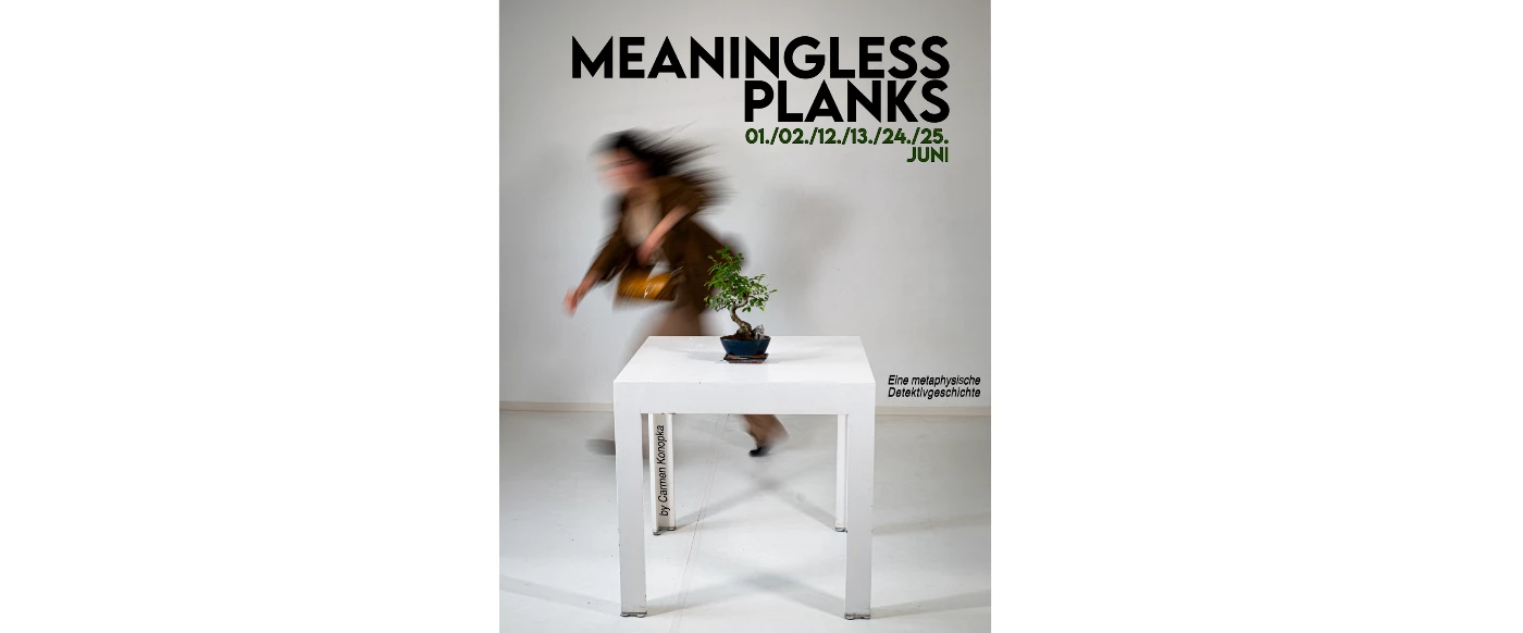 MEANINGLESS PLANKS
