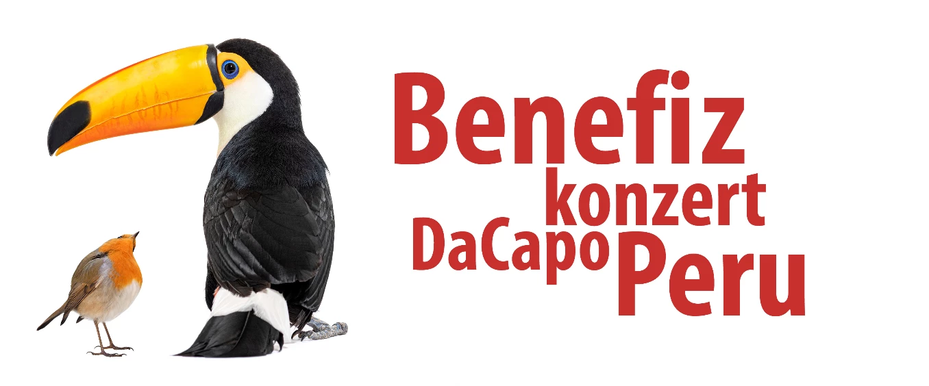 DaCapo Peru - Benefizkonzert