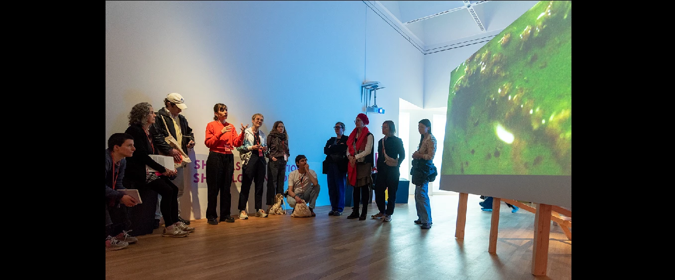 VIDEONALE.20: Ausstellungsführung im Kunstmuseum Bonn